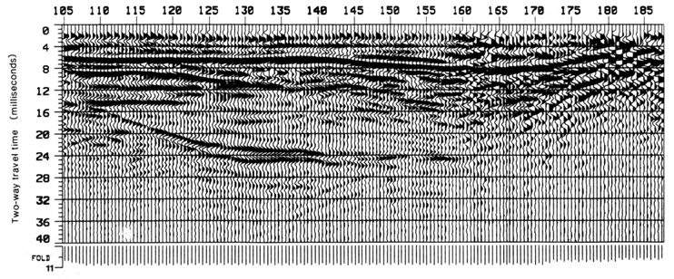 Detailed seismic reflection survey results in graph form